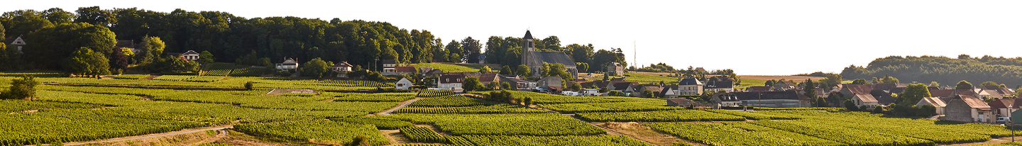 Ferdinand Bonnet Village